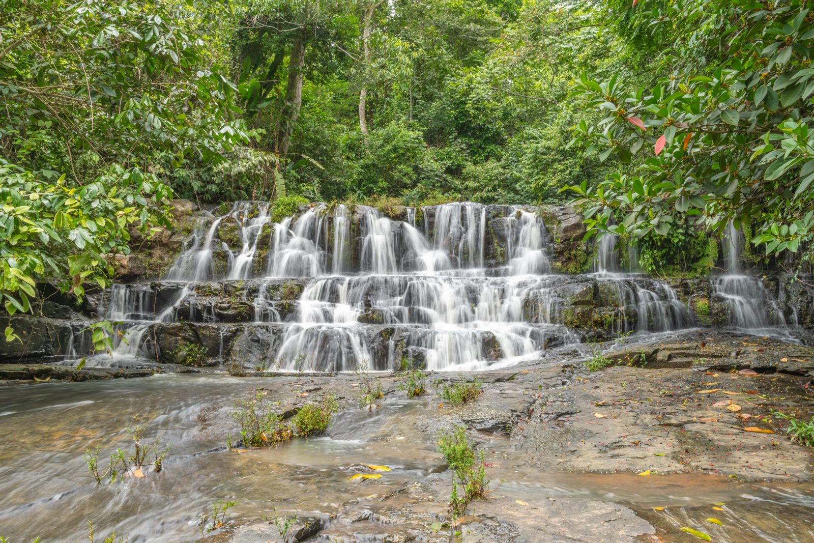 Costa Rica Rainforest Adventure